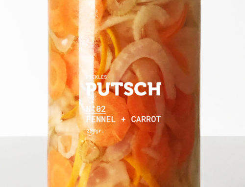 Pickles n°02 fennel + carrot